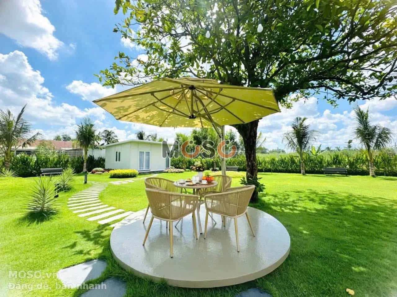 Bán nhà mặt tiền Kênh A Huyện Bình Chánh, TP.HCM – giá 42.5 tỷ - ảnh 6
