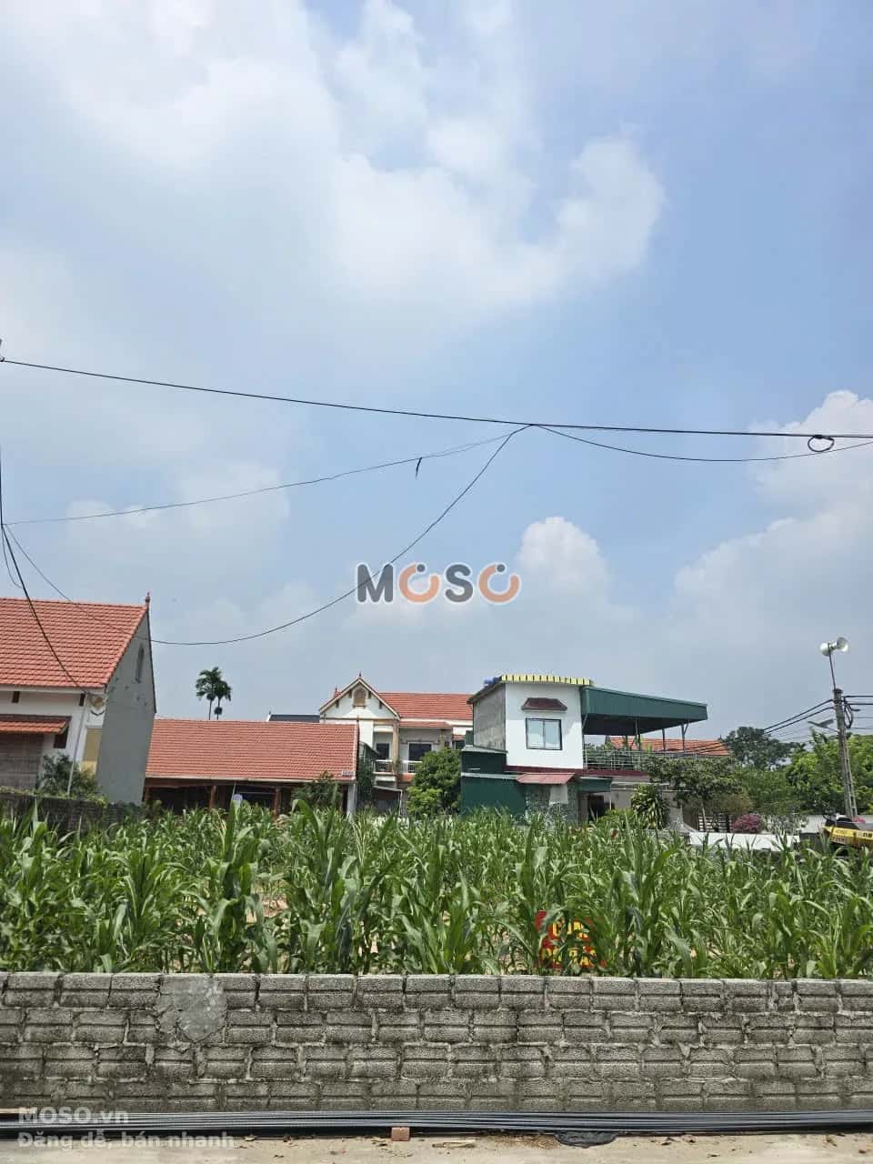 Bán đất Thôn 4 Huyện Khoái Châu, Hưng Yên – giá 3.9 tỷ - ảnh 3