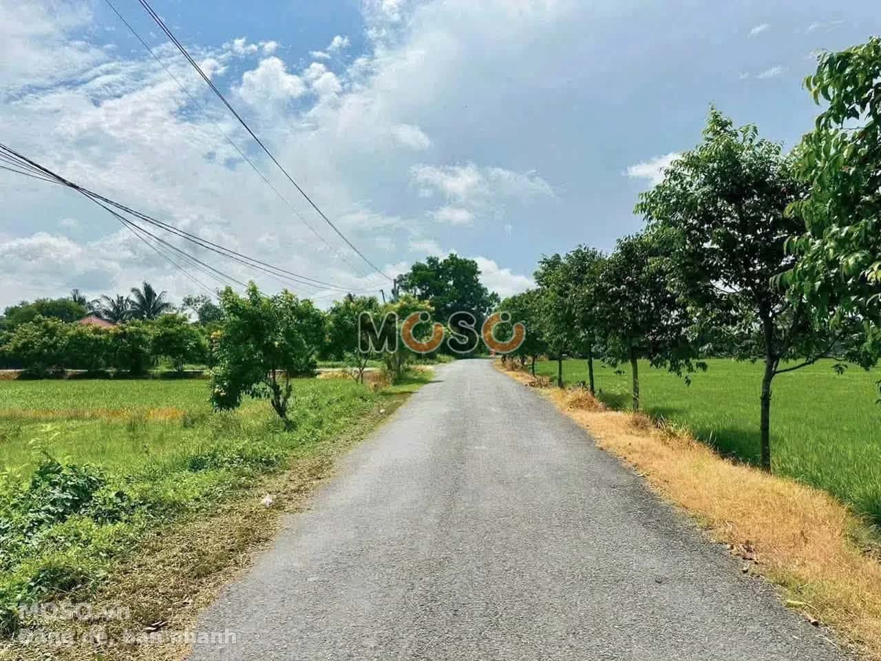 Bán đất  Lê Văn Yên Thành phố Tân An, Long An – giá 1.1 tỷ - ảnh 2
