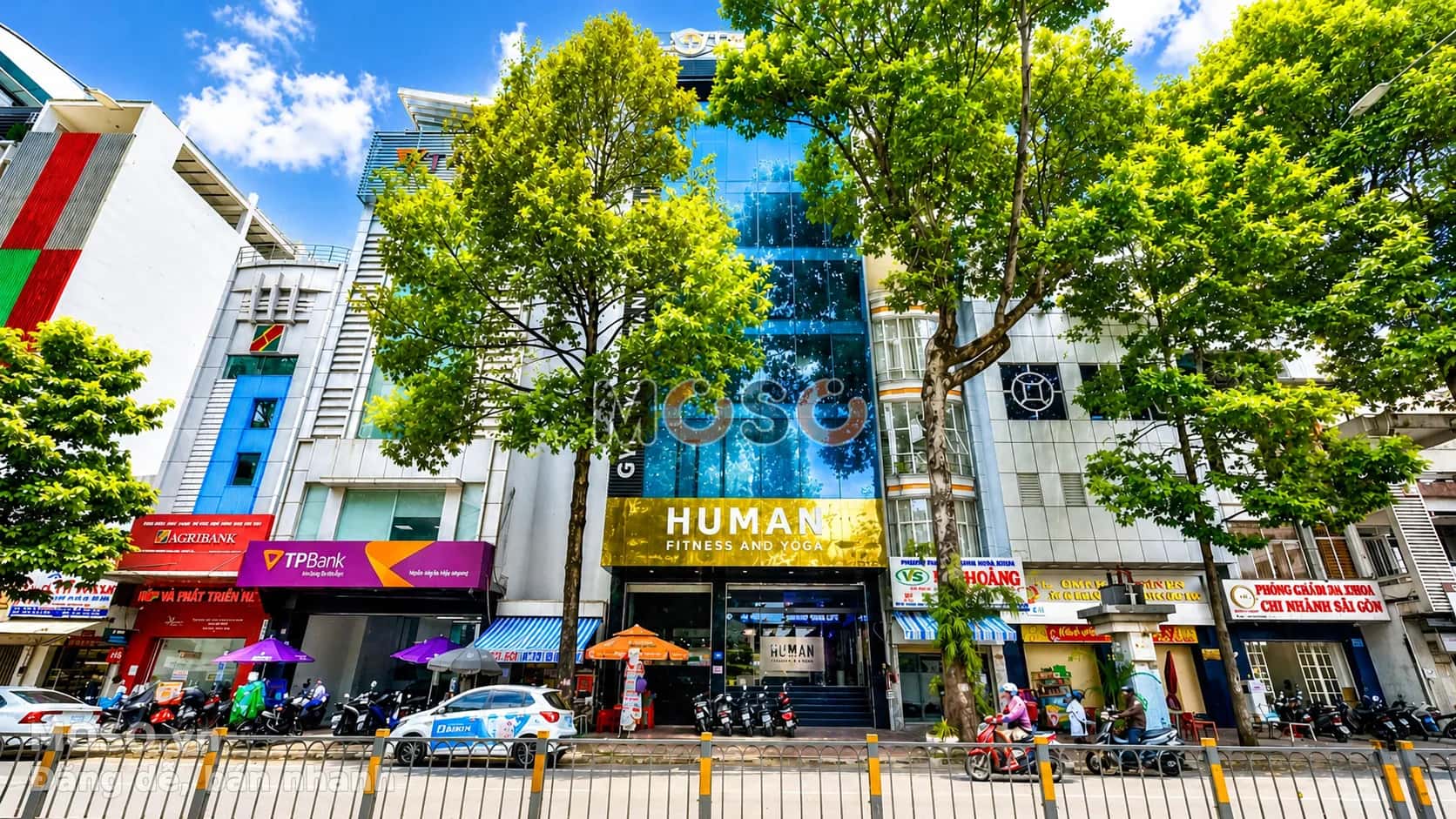 Bán nhà mặt tiền Lê Hồng Phong Quận 5, TP.HCM – 8 phòng ngủ, giá 180 tỷ - ảnh 2