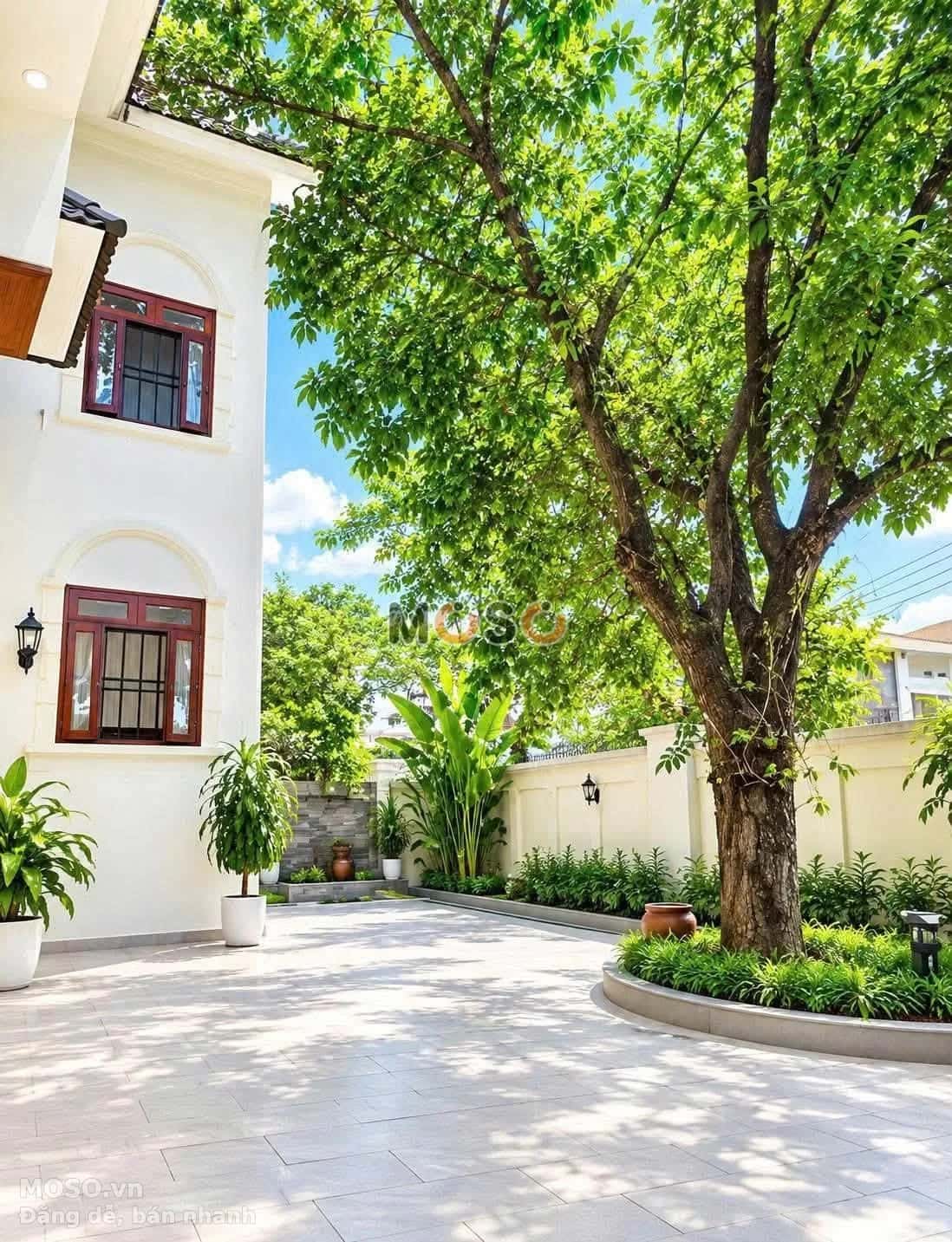 Bán nhà hẻm Sông Nhuệ Quận Tân Bình, TP.HCM – giá 65 tỷ - ảnh 5