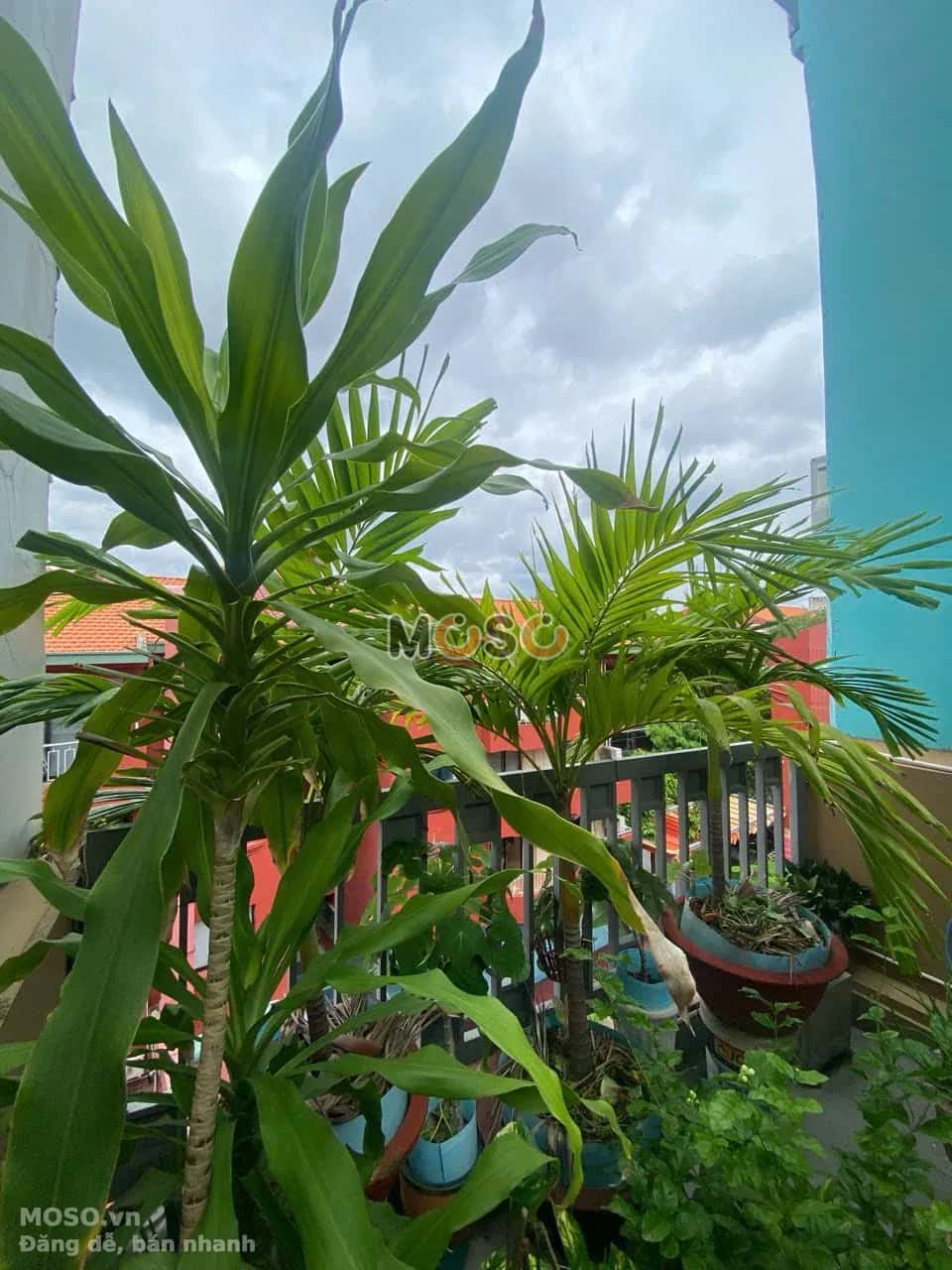 Cho thuê nhà hẻm 3 tháng 2 Quận 10, TP.HCM – 4 phòng ngủ, giá 20 triệu - ảnh 2