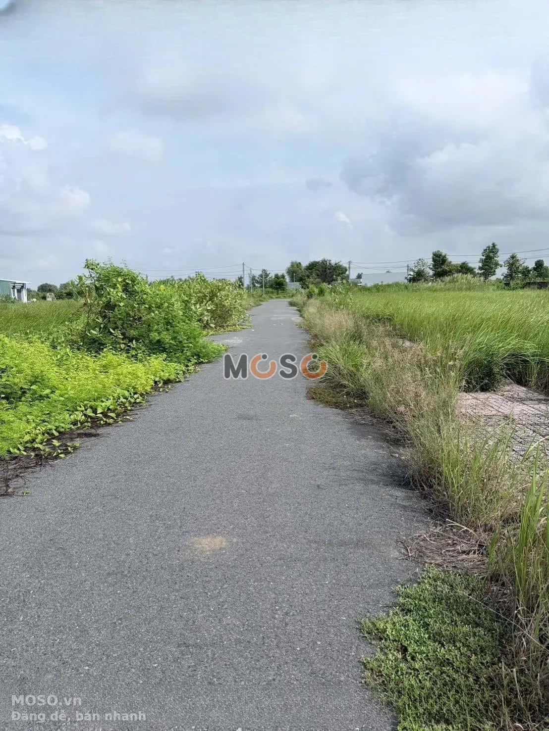 Bán đất đường D4, KDC Tân Lân Residence Huyện Cần Đước, Long An – giá 700 triệu - ảnh 2