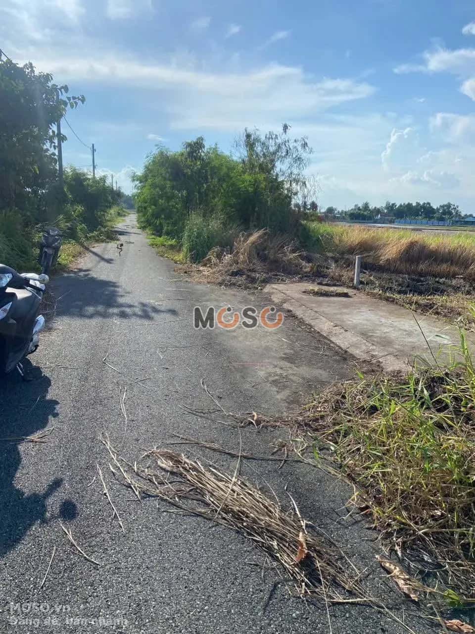 Bán đất đường số 9, Khu dân cư Dragon Nam Phong  Huyện Cần Đước, Long An – giá 570 triệu - ảnh 2