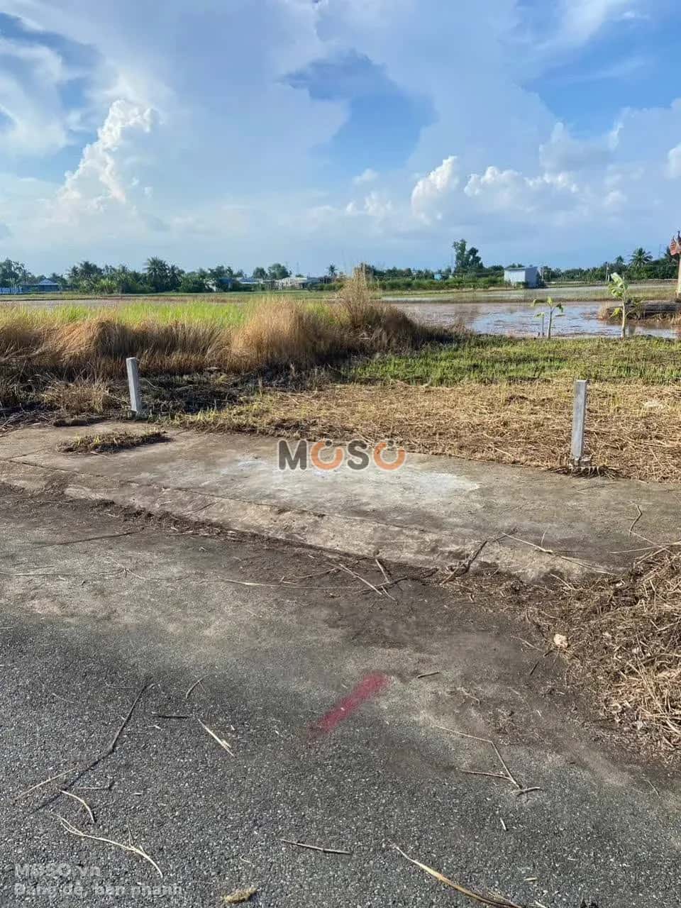 Bán đất đường số 9, Khu dân cư Dragon Nam Phong  Huyện Cần Đước, Long An – giá 570 triệu - ảnh 1