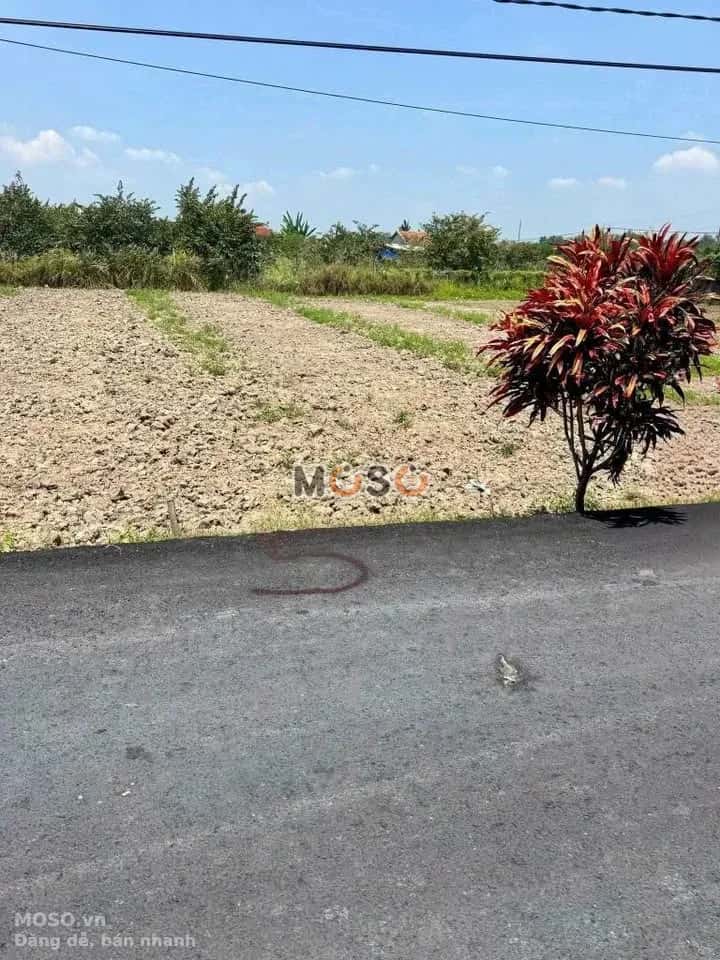 Bán đất ấp Bình Sơn Huyện Châu Thành, Long An – giá 730 triệu - ảnh 2