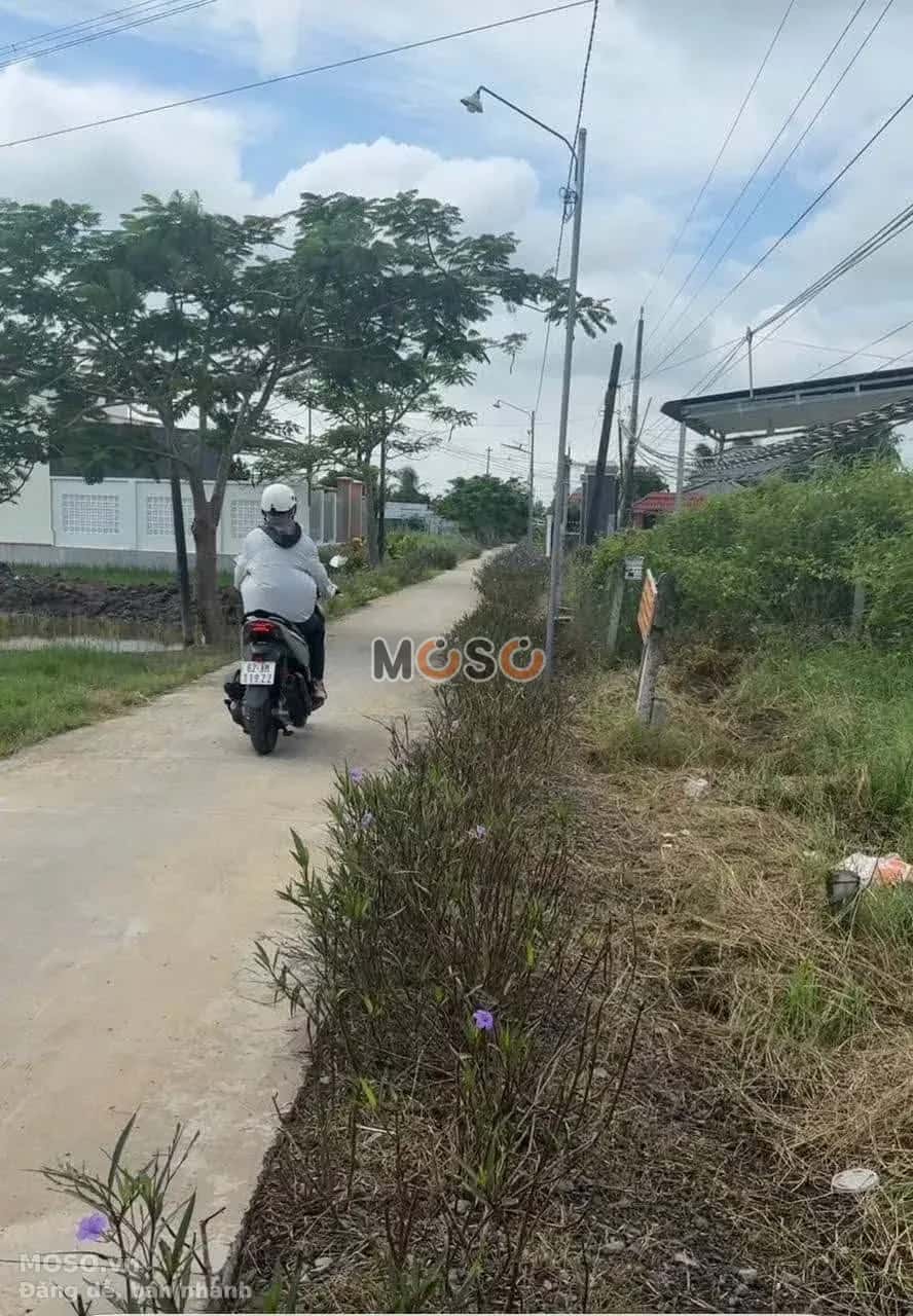 Bán đất đường ấp Xóm Mới  Huyện Cần Đước, Long An – giá 780 triệu - ảnh 2
