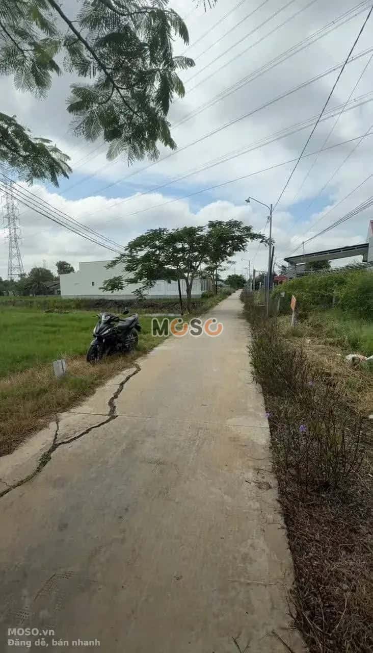 Bán đất đường ấp Xóm Mới  Huyện Cần Đước, Long An – giá 780 triệu - ảnh 3
