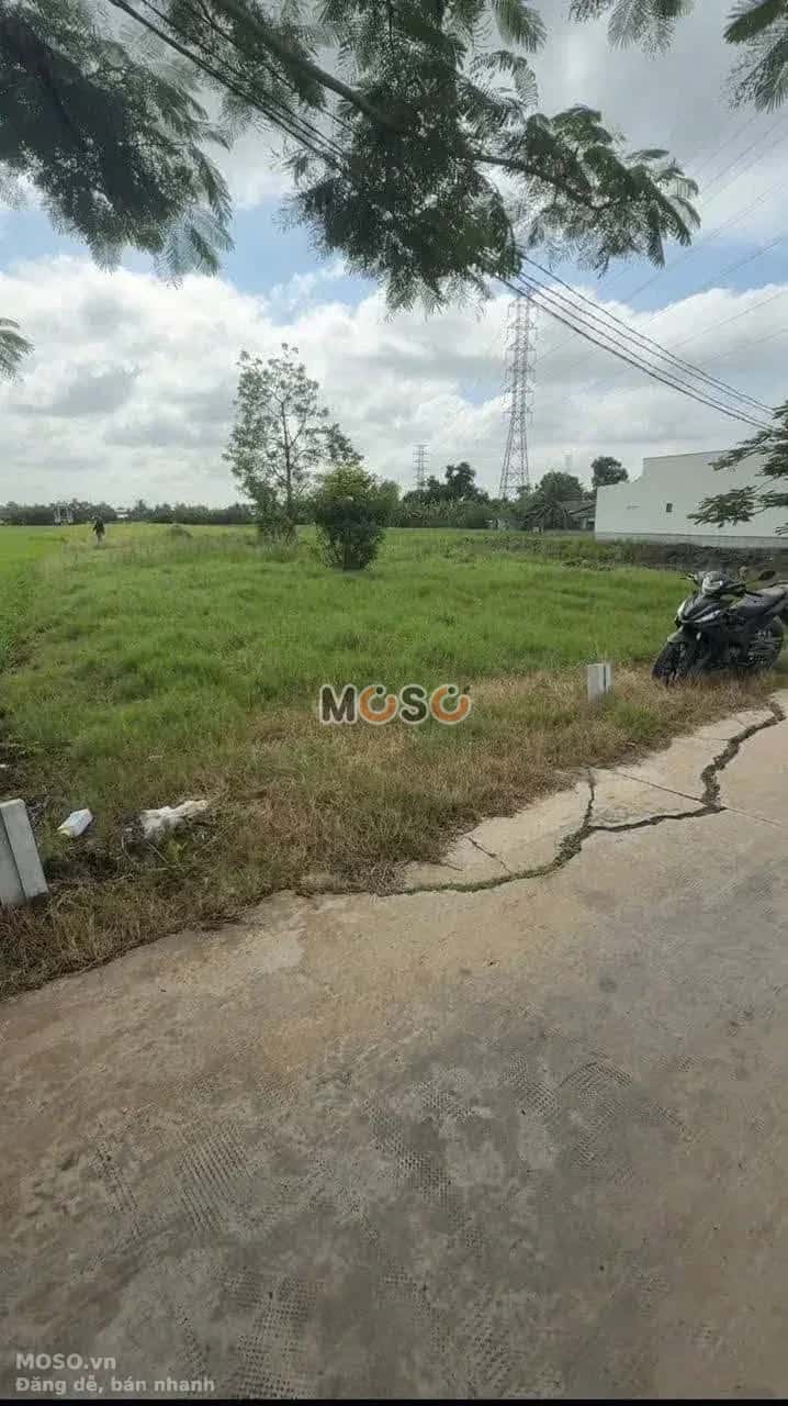 Bán đất đường ấp Xóm Mới  Huyện Cần Đước, Long An – giá 780 triệu - ảnh 1
