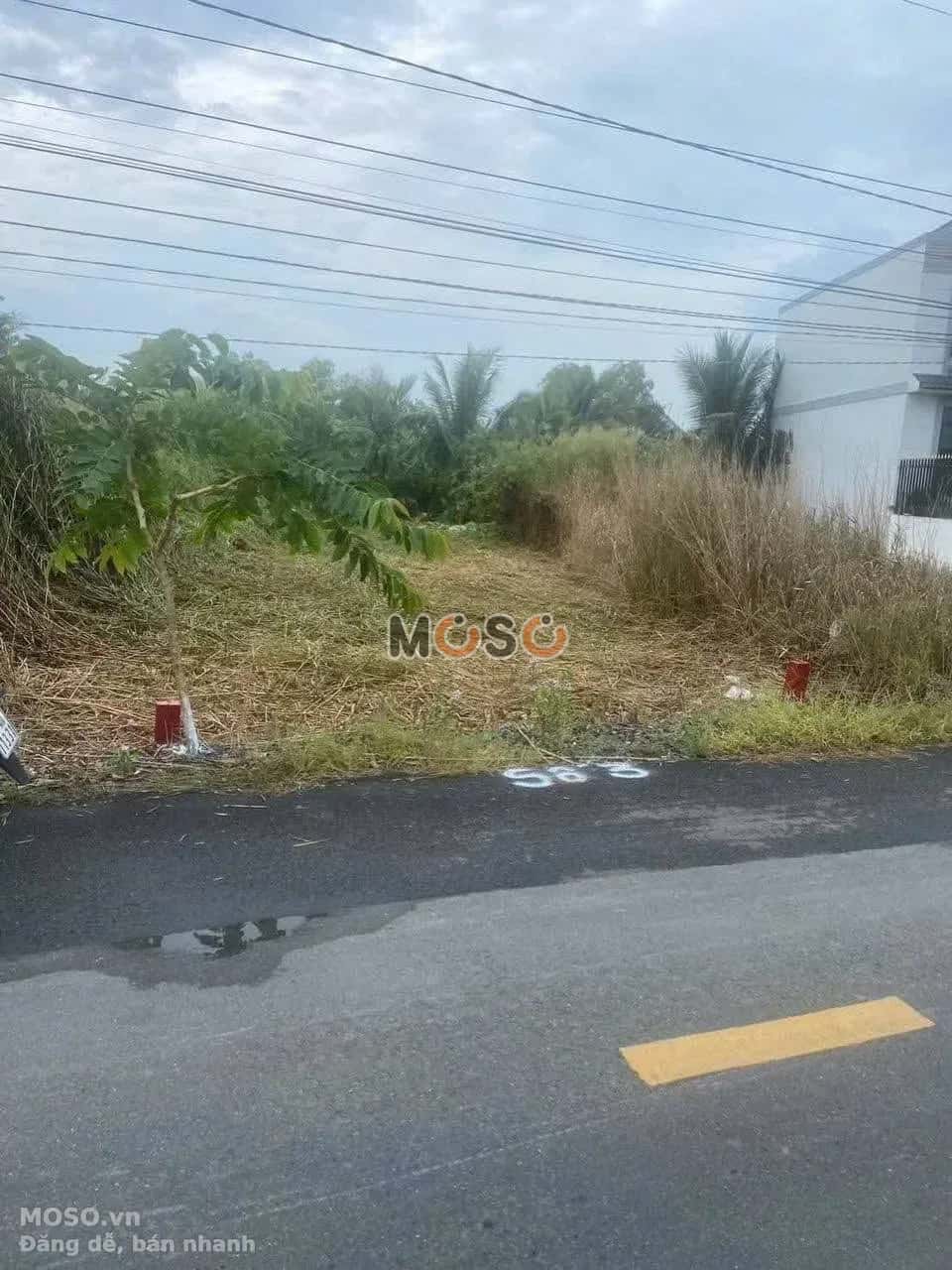 Bán đất đường liên xã Tân Trạch - Mỹ Lệ  Huyện Cần Đước, Long An – giá 1.1 tỷ - ảnh 1