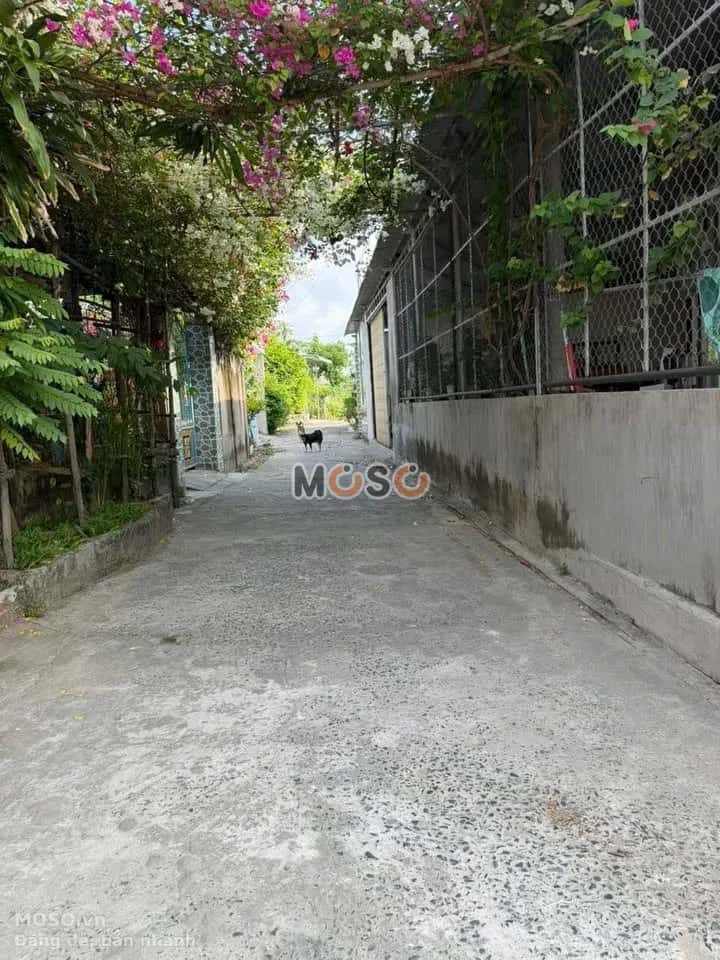 Bán đất hẻm đường Châu Thị Kim Thành phố Tân An, Long An – giá 950 triệu - ảnh 3