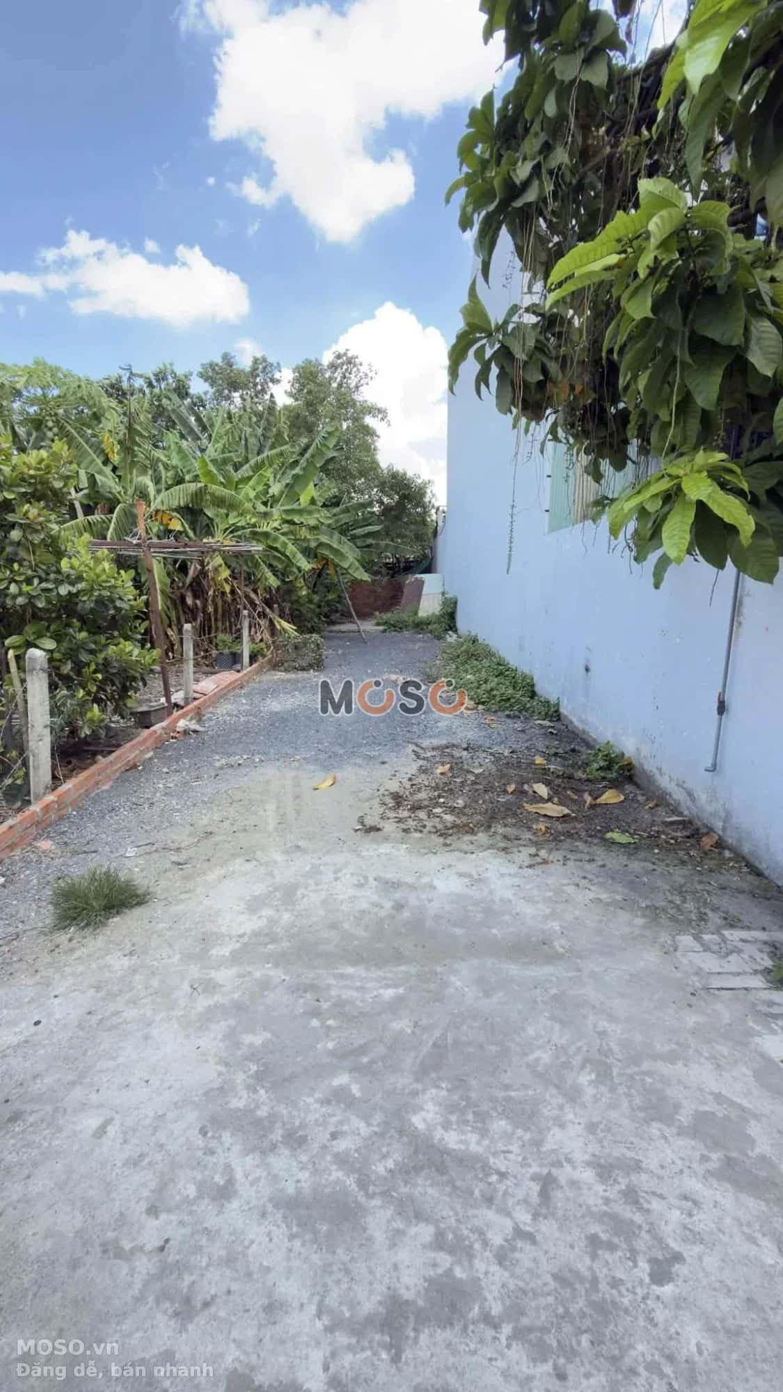 Bán đất đường 6B Mỹ Hòa 3 Huyện Hóc Môn, TP.HCM – giá 4.3 tỷ - ảnh 2