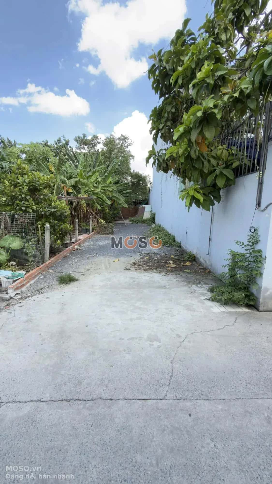 Bán đất đường 6B Mỹ Hòa 3 Huyện Hóc Môn, TP.HCM – giá 4.3 tỷ - ảnh 3