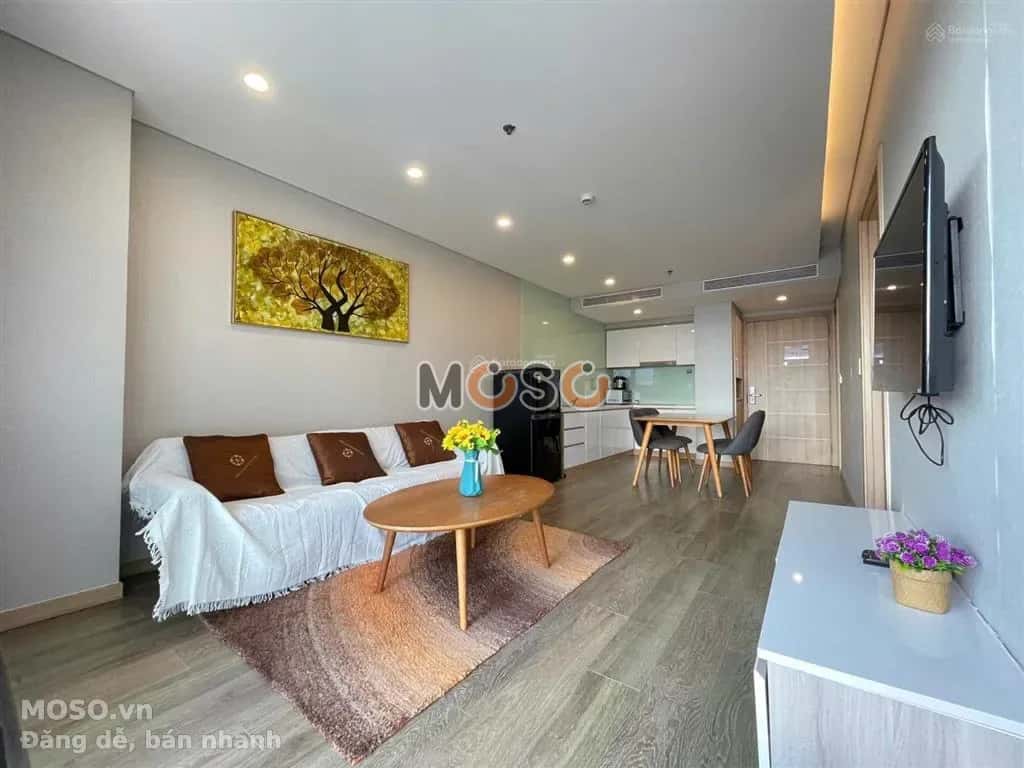 Cho thuê căn hộ chung cư Phố Lý Thường Kiệt Quận Hải Châu, Đà Nẵng – giá 16 triệu - ảnh 3