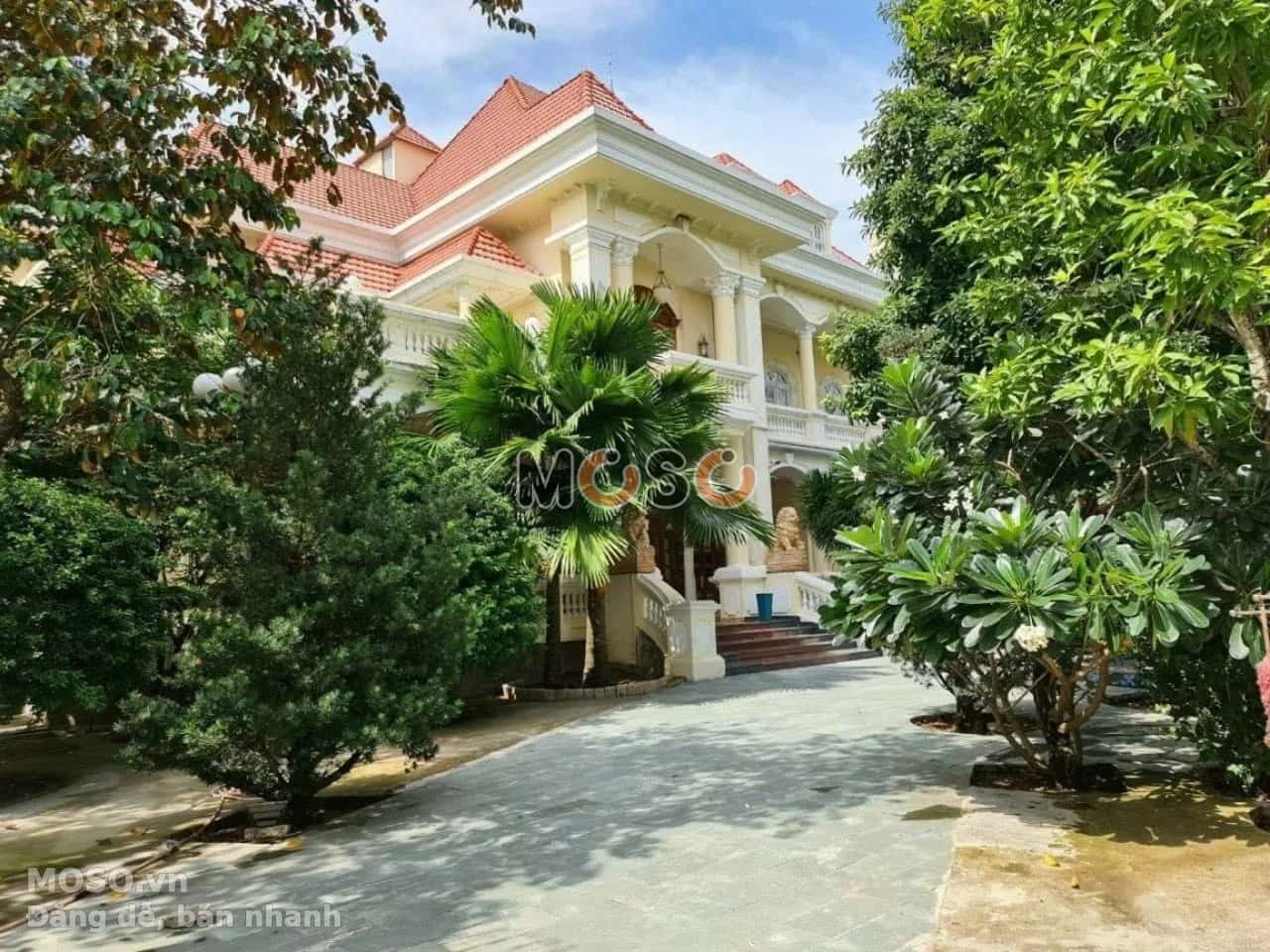 Bán nhà mặt tiền Đường Số 16 Thành phố Thủ Đức, TP.HCM – giá 245 tỷ - ảnh 2