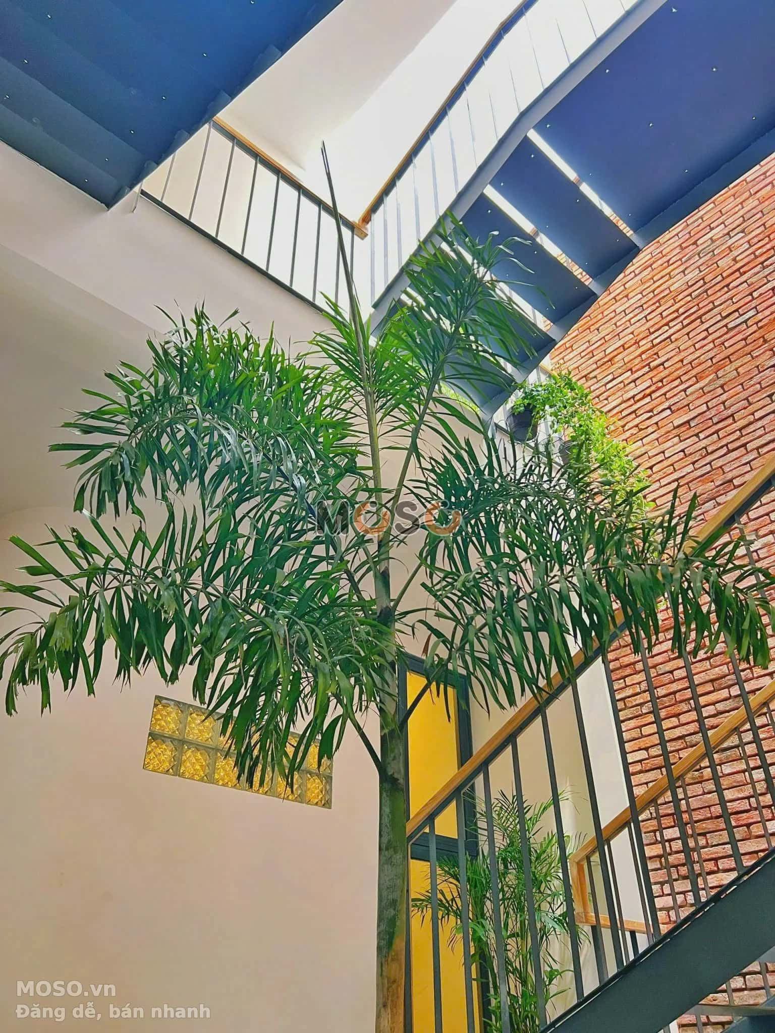 Bán nhà hẻm Đinh Công Tráng Quận 1, TP.HCM – giá 30 tỷ - ảnh 3
