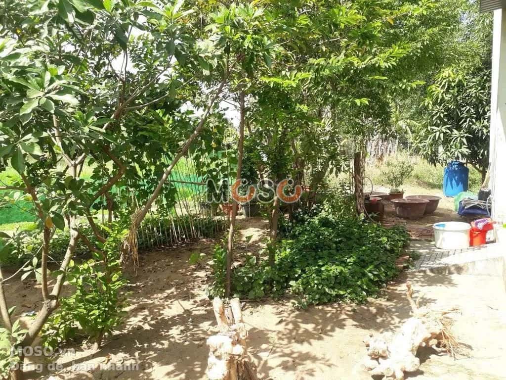 Bán nhà hẻm Bình Quới Quận Bình Thạnh, TP.HCM – giá 35 tỷ - ảnh 3