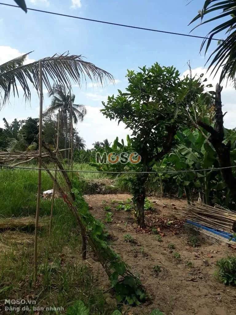 Bán nhà hẻm Bình Quới Quận Bình Thạnh, TP.HCM – giá 35 tỷ - ảnh 4