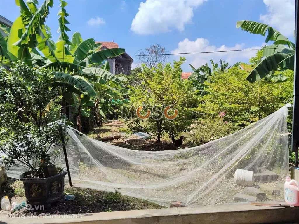 Cho thuê BĐS khác Huyện Thủy Nguyên, Hải Phòng – giá 4 triệu - ảnh 2