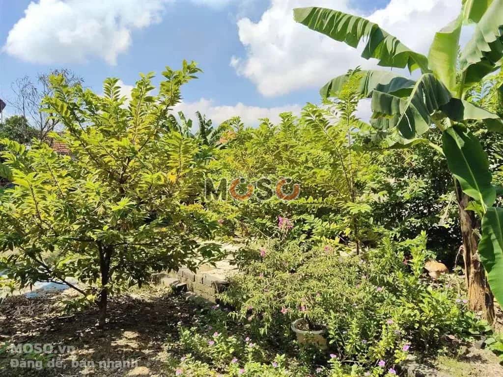 Cho thuê BĐS khác Huyện Thủy Nguyên, Hải Phòng – giá 4 triệu - ảnh 5