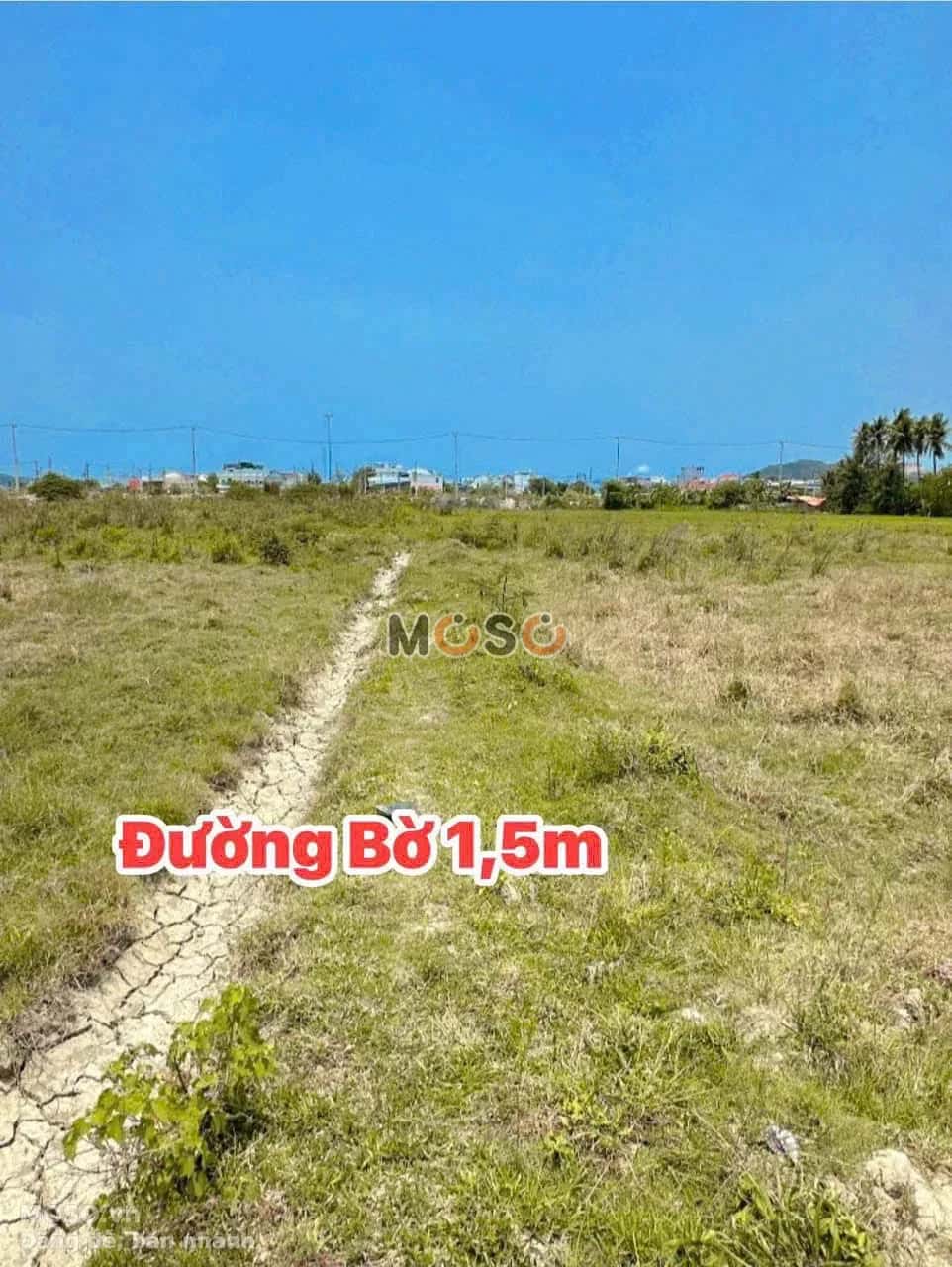 Bán đất hẻm đường số 12 Huyện Diên Khánh, Khánh Hòa – giá 560 triệu - ảnh 1