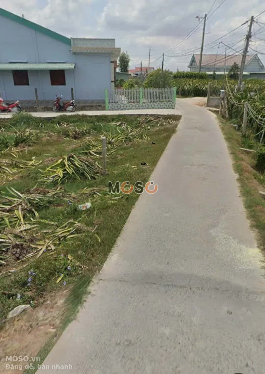 Bán đất Ấp Cầu Đúc Huyện Châu Thành, Long An – giá 450 triệu - ảnh 2