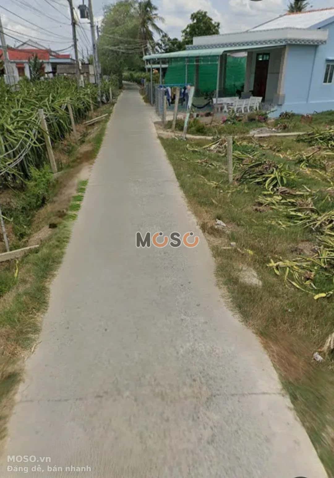 Bán đất Ấp Cầu Đúc Huyện Châu Thành, Long An – giá 450 triệu - ảnh 3