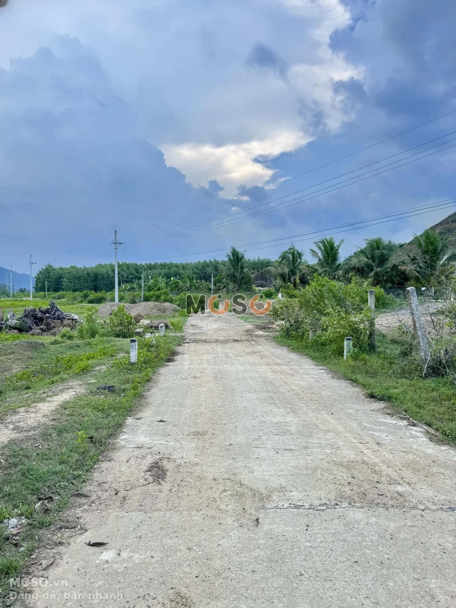 Bán đất thôn Láng Nhớt, hẻm đường HL 62 Huyện Diên Khánh, Khánh Hòa – giá 195 triệu - ảnh 3