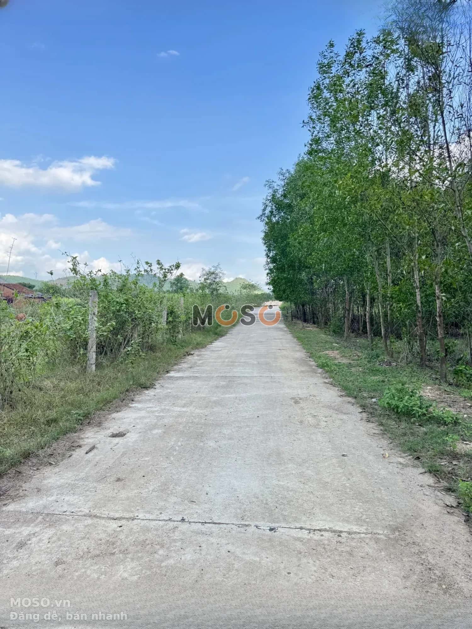 Bán đất thôn Láng Nhớt, hẻm đường HL 62 Huyện Diên Khánh, Khánh Hòa – giá 195 triệu - ảnh 2