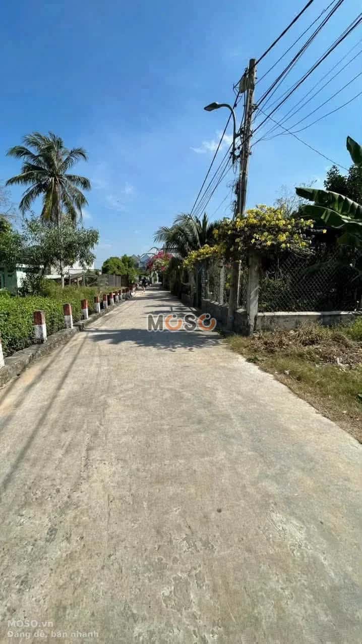 Bán đất hẻm đường Lê Văn Tách  Thành phố Thủ Dầu Một, Bình Dương – giá 2 tỷ - ảnh 2