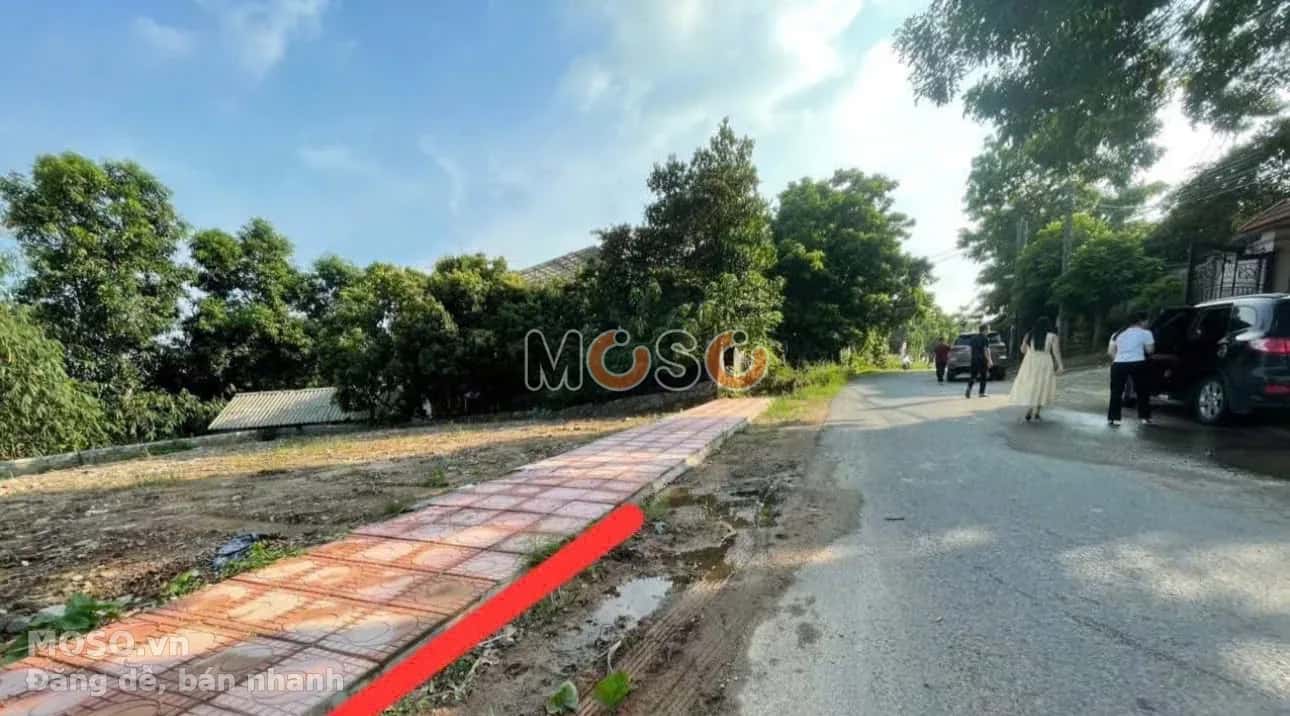 Bán đất Thôn Phú Ninh Huyện Tam Dương, Vĩnh Phúc – giá 1.4 tỷ - ảnh 2