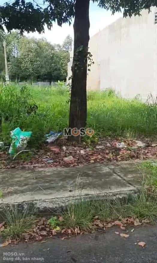 Bán đất đường N19 Huyện Bàu Bàng, Bình Dương – giá 2.8 tỷ - ảnh 1