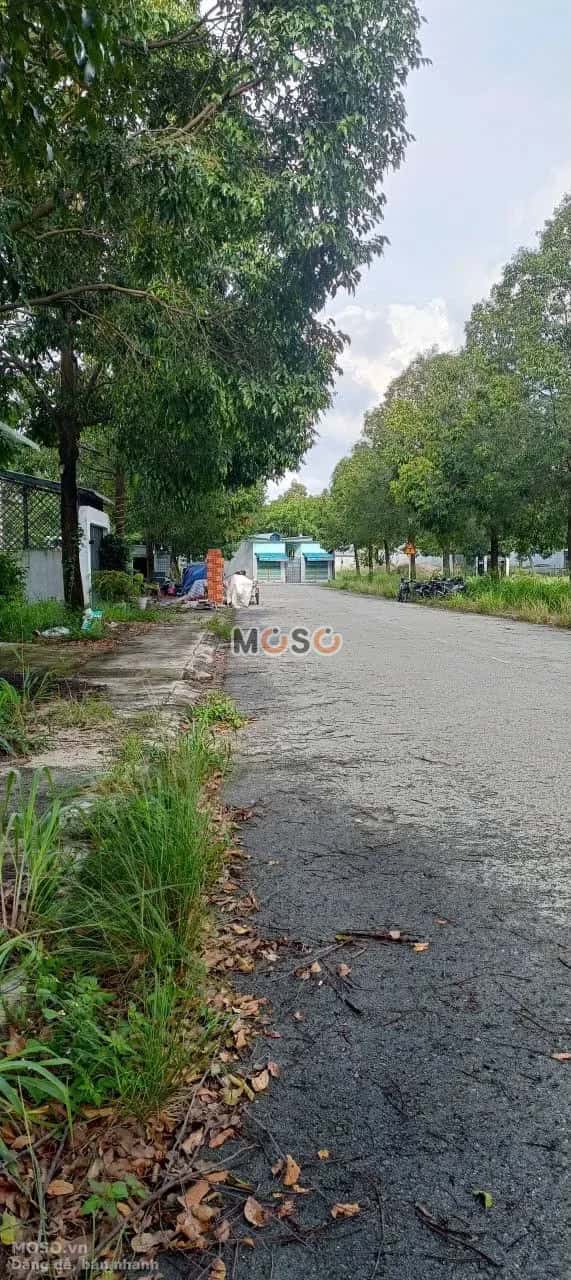 Bán đất đường N19 Huyện Bàu Bàng, Bình Dương – giá 2.8 tỷ - ảnh 4