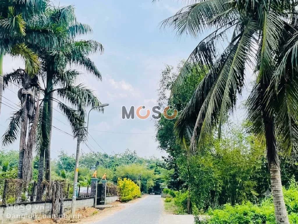 Bán đất An Nhơn Tây Huyện Củ Chi, TP.HCM – giá 1.6 tỷ - ảnh 2