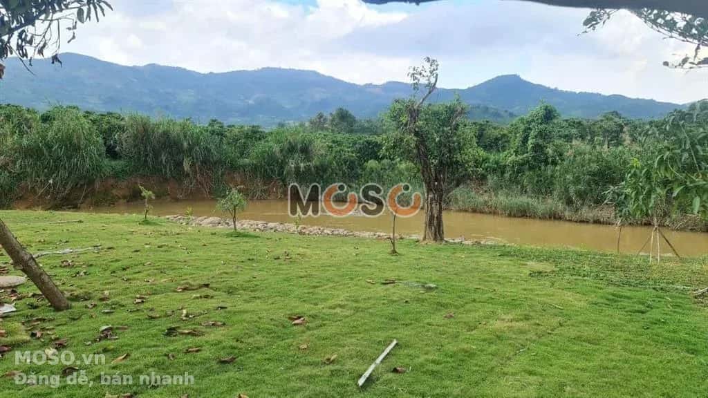 Bán đất Hẻm Đinh Công Tráng Thành phố Bảo Lộc, Lâm Đồng – giá 600 triệu - ảnh 2