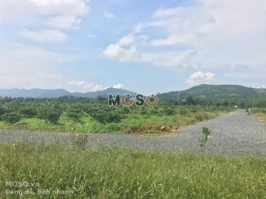 Bán đất Hẻm Đinh Công Tráng Thành phố Bảo Lộc, Lâm Đồng – giá 600 triệu - ảnh 3