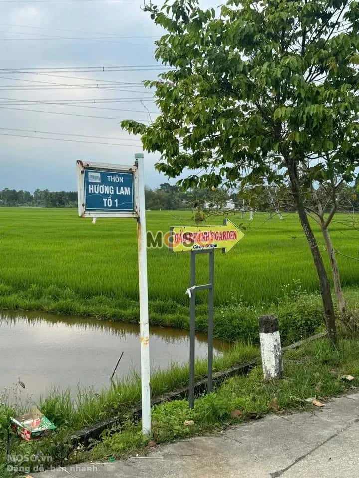 Bán đất Thôn Hương Lam Huyện Hòa Vang, TP. Đà Nẵng – giá 1.6 tỷ - ảnh 4