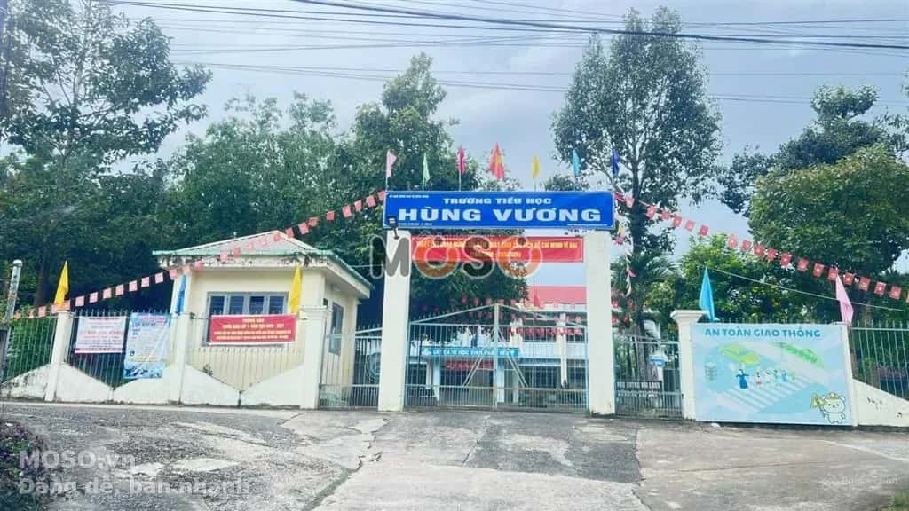 Bán đất nhánh đường QL20 Huyện Định Quán, Đồng Nai – giá 480 triệu - ảnh 3