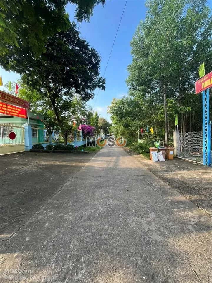 Bán đất nhánh đường QL20 Huyện Định Quán, Đồng Nai – giá 480 triệu - ảnh 2