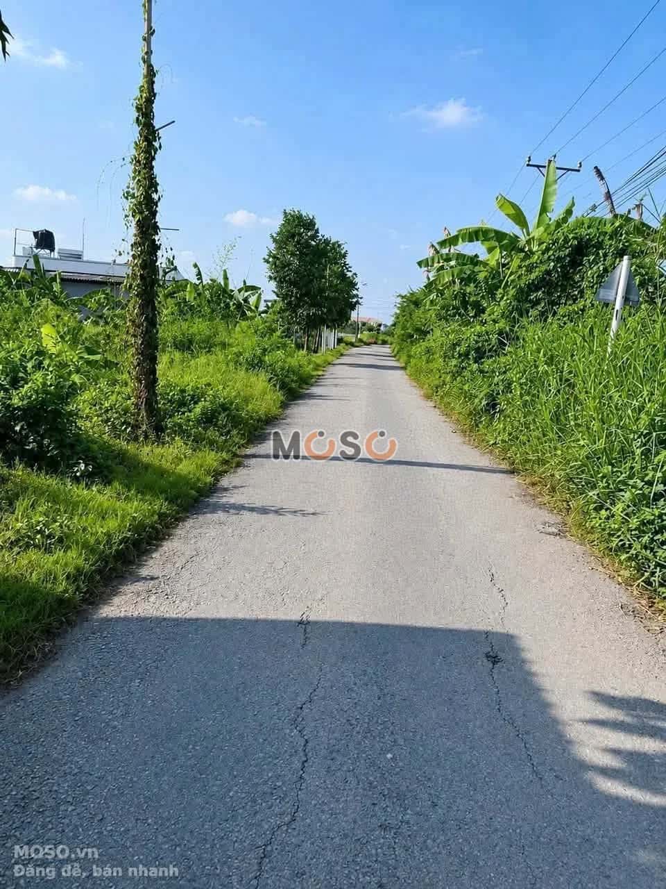 Bán đất Bùi Tấn Thành phố Tân An, Long An – giá 850 triệu - ảnh 3