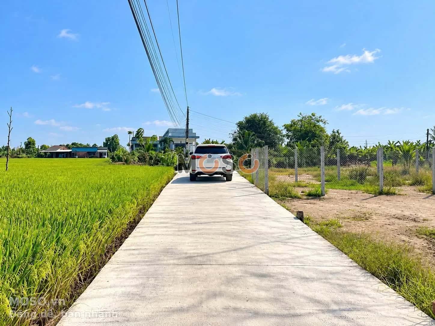 Bán đất hẻm Lê Minh Xuân Thành phố Tân An, Long An – giá 760 triệu - ảnh 2