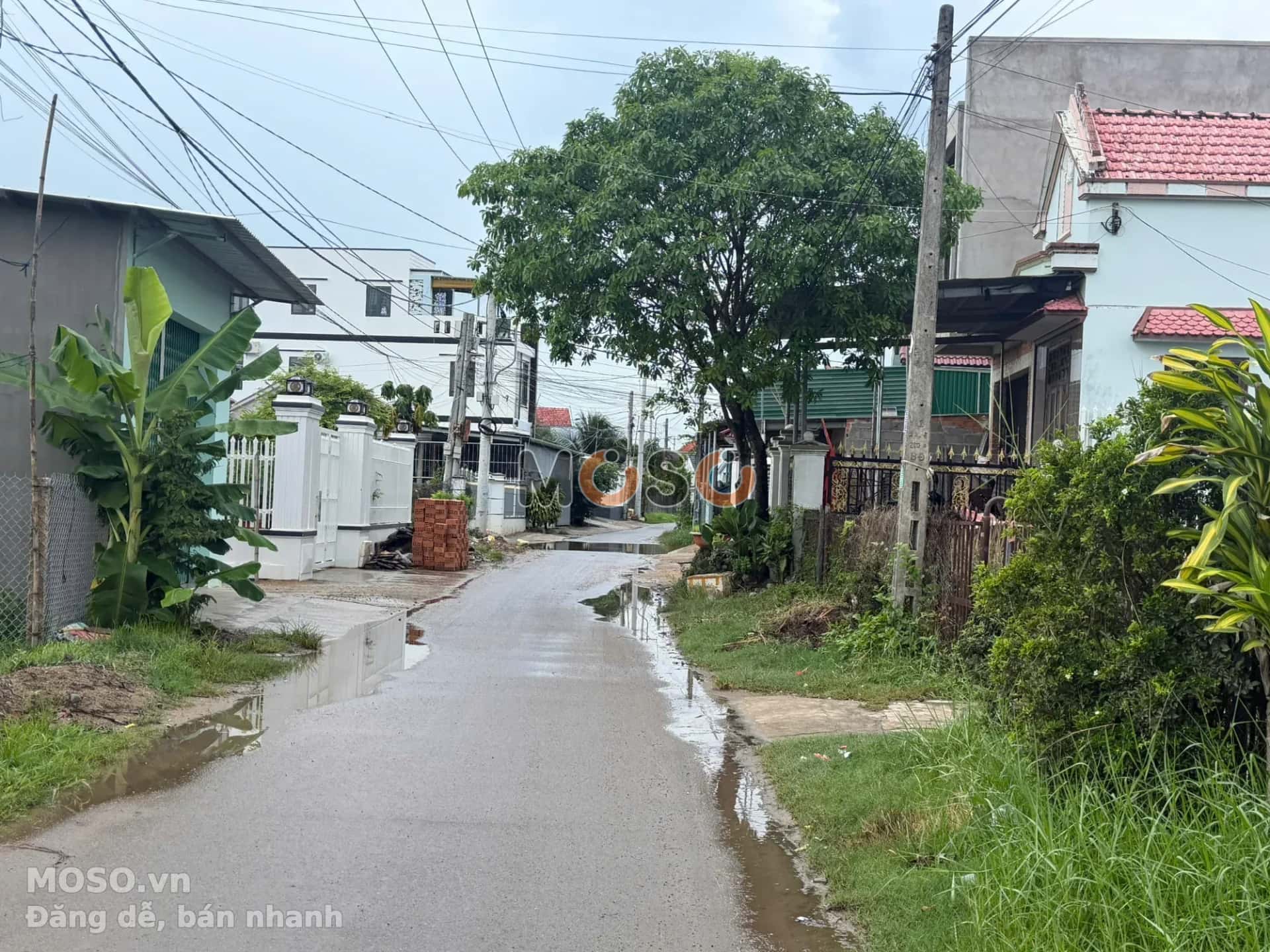 Bán đất TDP Ninh Giang Thị xã Ninh Hòa, Khánh Hòa – giá 410 triệu - ảnh 3