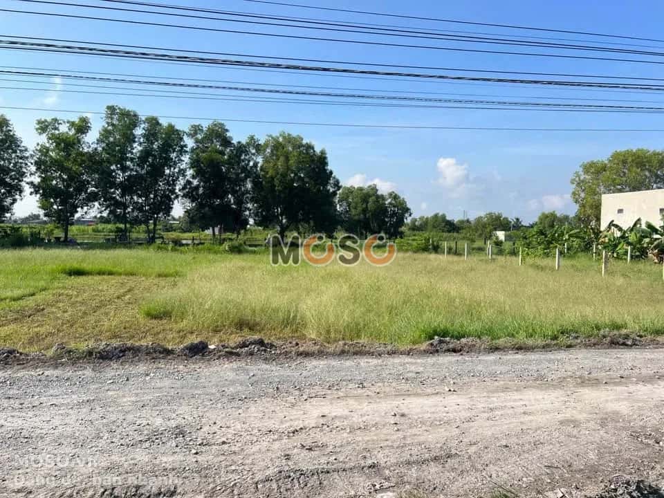 Bán đất hẻm đường Quốc Lộ N2 Huyện Đức Hòa, Long An – giá 1.5 tỷ - ảnh 1