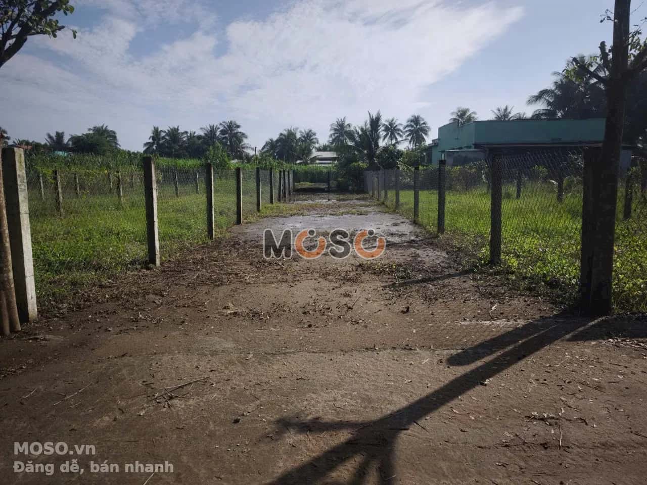 Bán đất đường Cầu Cống  Huyện Chợ Gạo, Tiền Giang – giá 315 triệu - ảnh 1