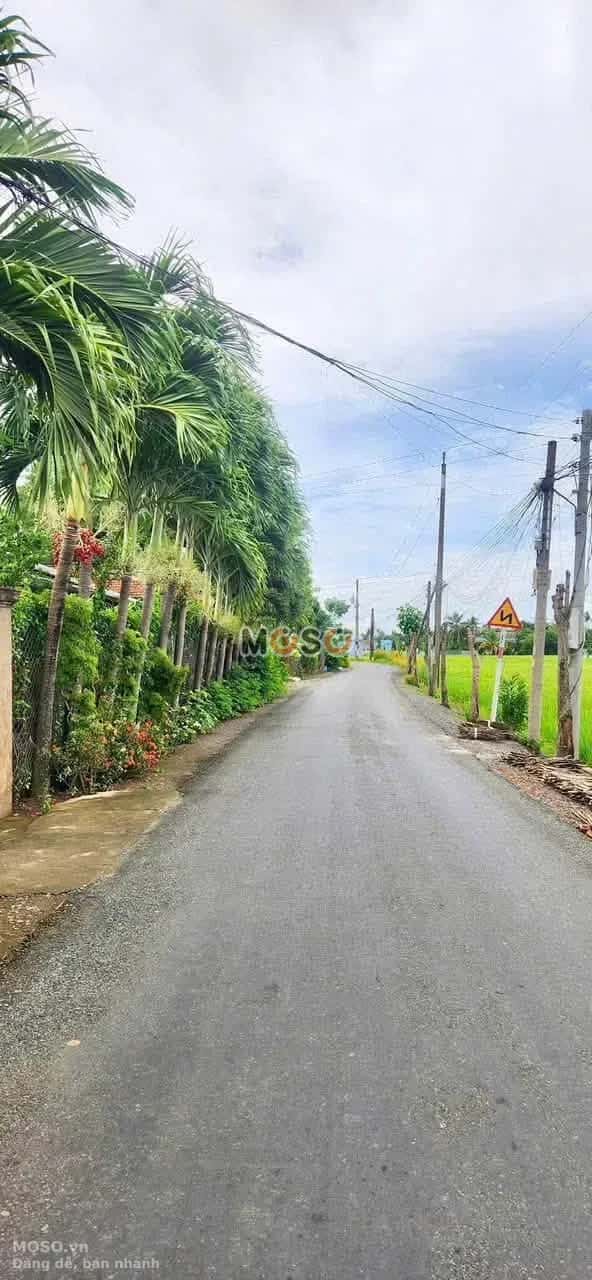 Bán đất  Lương Văn Bang Thành phố Tân An, Long An – giá 1.2 tỷ - ảnh 2