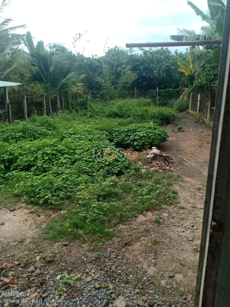 Bán đất Nguyễn Văn Khạ Huyện Củ Chi, TP.HCM – giá 5.5 tỷ - ảnh 6