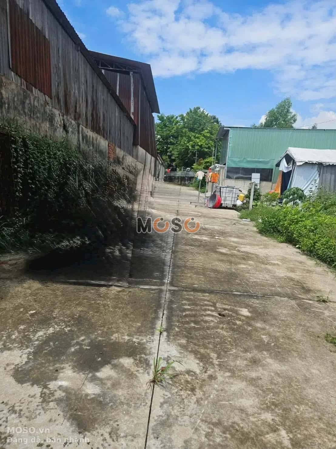 Bán đất hẻm đường Mạc Đỉnh Chi  Thành phố Thủ Dầu Một, Bình Dương – giá 1.3 tỷ - ảnh 2