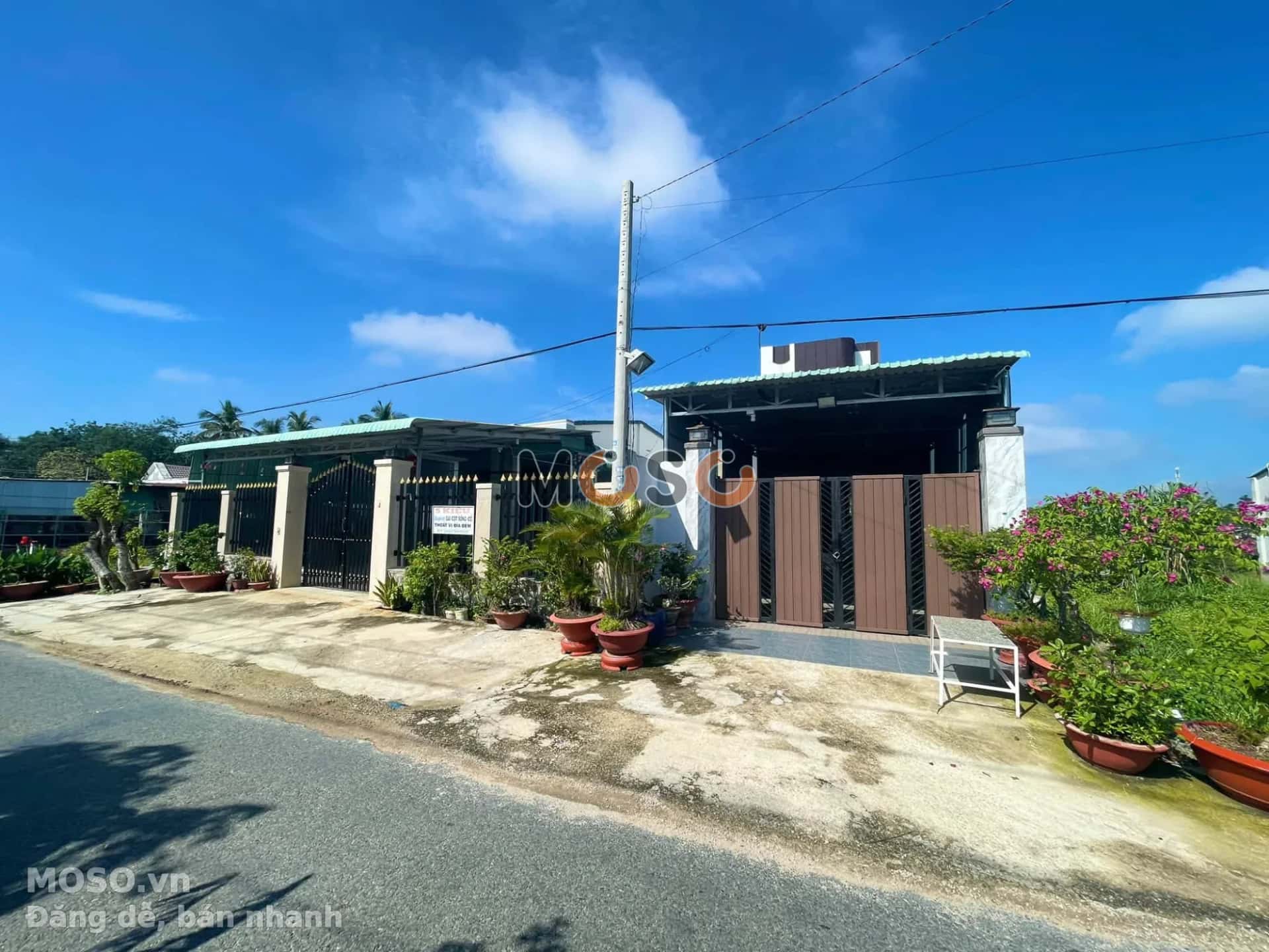 Bán nhà mặt tiền đường Cầu Thị, ấp Chánh Huyện Gò Dầu, Tây Ninh – 3 phòng ngủ, giá 1.6 tỷ - ảnh 1