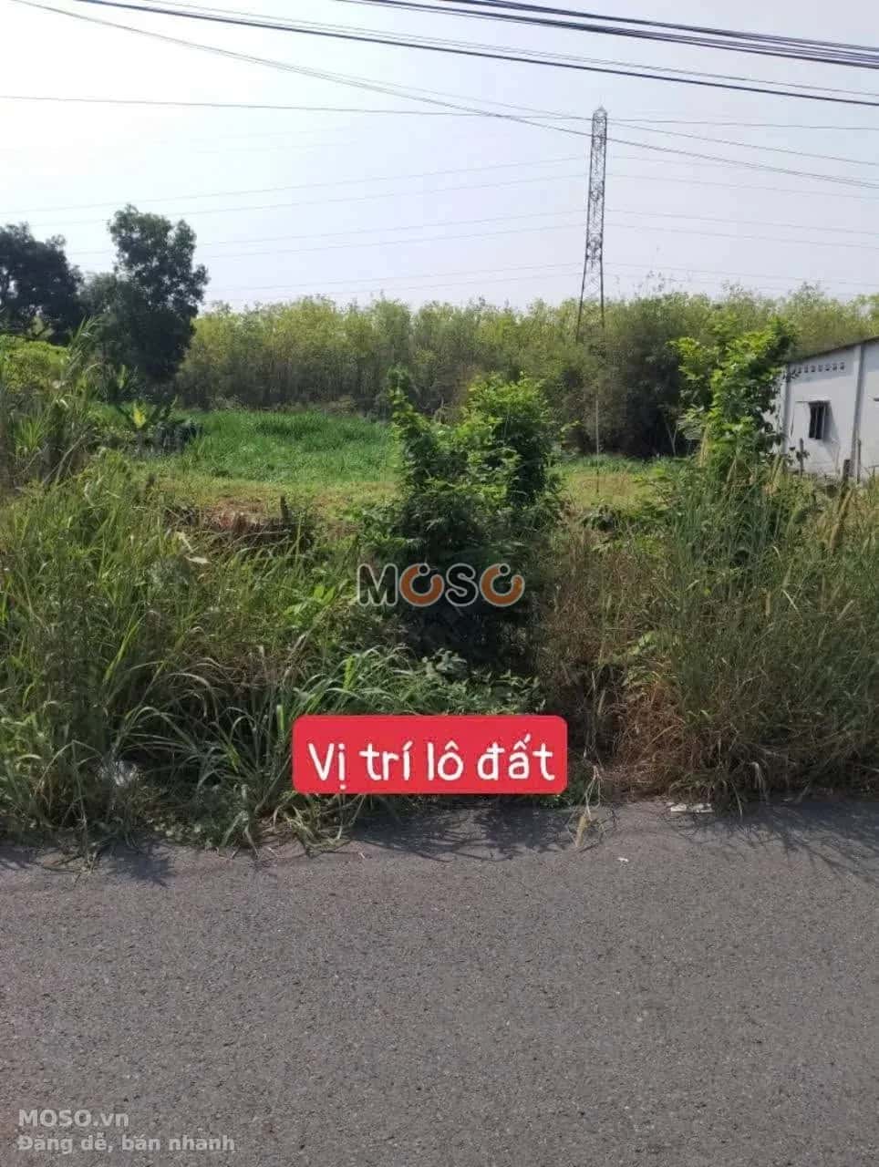 Bán đất Bàu Lách Huyện Củ Chi, TP.HCM – giá 12.5 tỷ - ảnh 1