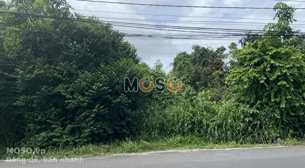 Bán đất Tỉnh Lộ 15 Huyện Củ Chi, TP.HCM – giá 10 tỷ - ảnh 1